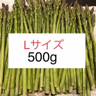 アスパラ　Lサイズ500g