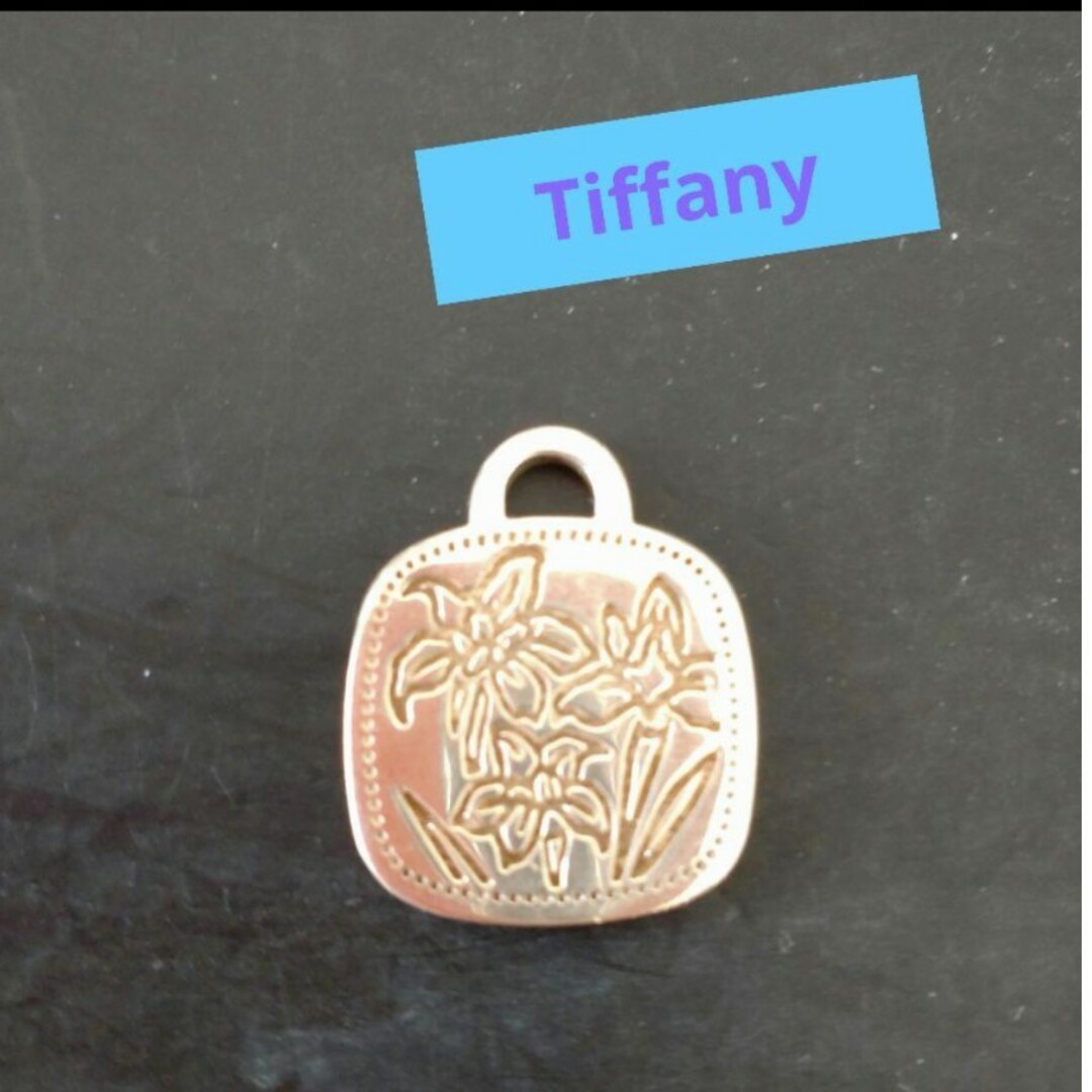 Tiffany & Co.(ティファニー)のティファニーペンダントトップ レディースのアクセサリー(ネックレス)の商品写真