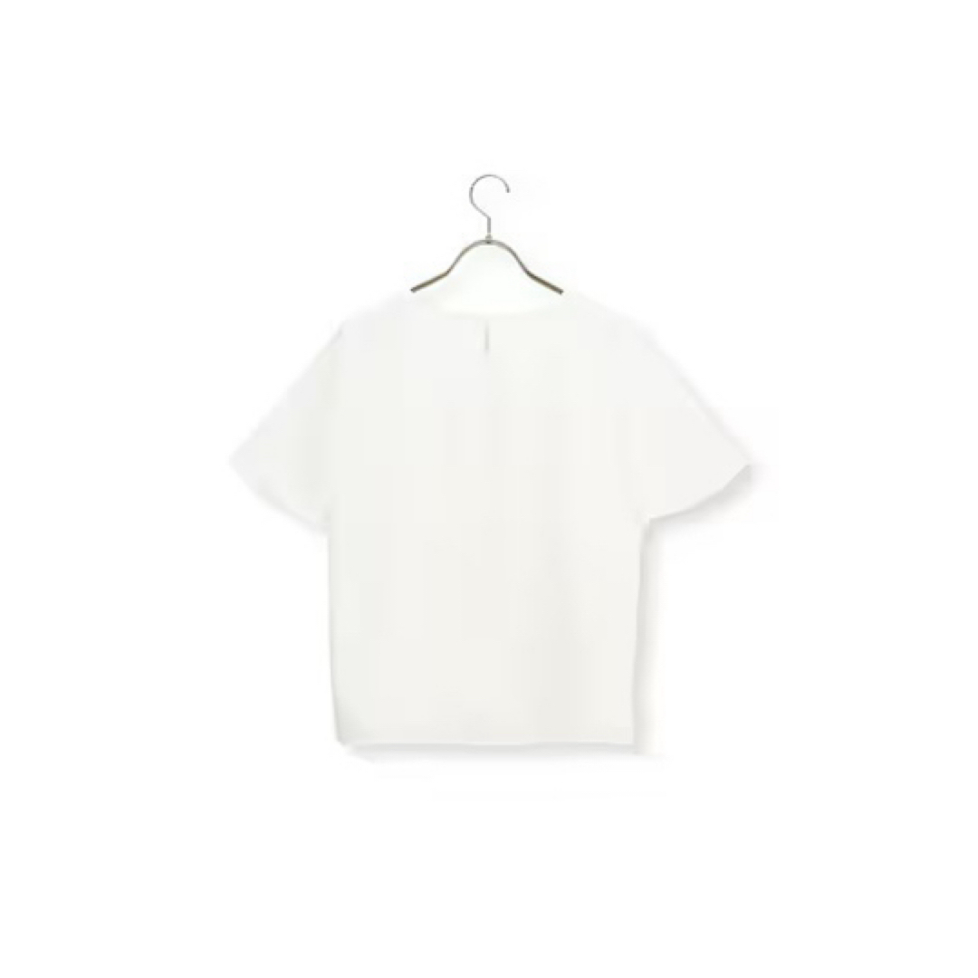 青山(アオヤマ)の洋服の青山 カットソー ブラウス ソフトブラウス Lサイズ レディースのトップス(カットソー(半袖/袖なし))の商品写真