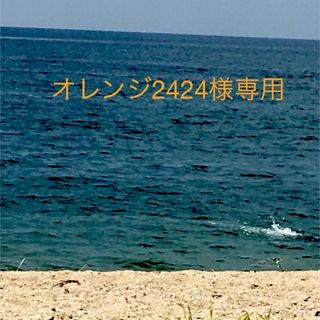 【使用済】ロープ付き浮き輪（大）(マリン/スイミング)