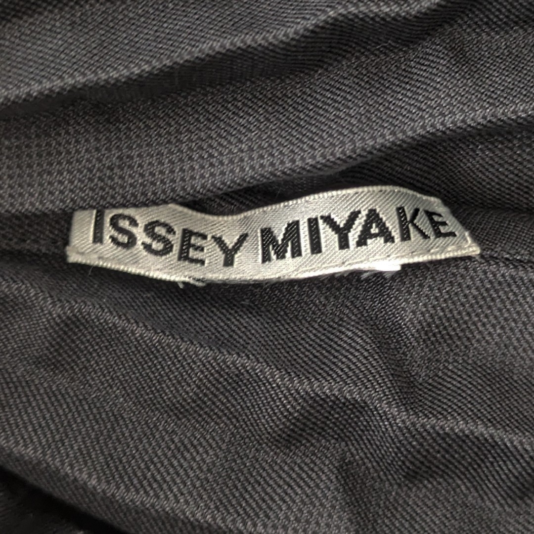 ISSEY MIYAKE(イッセイミヤケ)の★ 美品 2022年 イッセイミヤケ ★ ハンドプリーツ Vネック ブラウス レディースのトップス(シャツ/ブラウス(半袖/袖なし))の商品写真