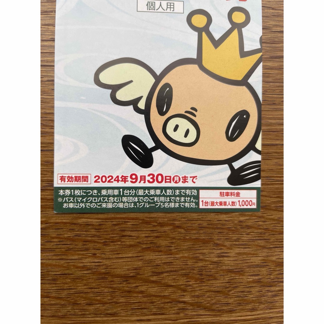 東京ドイツ村 入場ご招待券 チケットの施設利用券(遊園地/テーマパーク)の商品写真