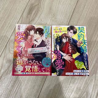 ベリーズ文庫 5月新刊(文学/小説)