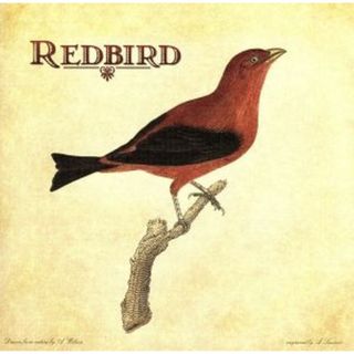 【輸入盤】Ｒｅｄｂｉｒｄ(ブルース)