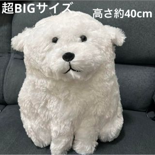 ★新品未使用品★むっちりグレートピレニーズ　ファニーフェイス　特大ぬいぐるみ(ぬいぐるみ)