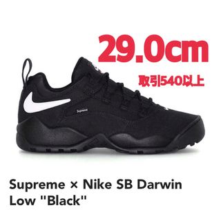 シュプリーム(Supreme)のSupreme Nike SB Darwin Low Black 29.0cm(スニーカー)