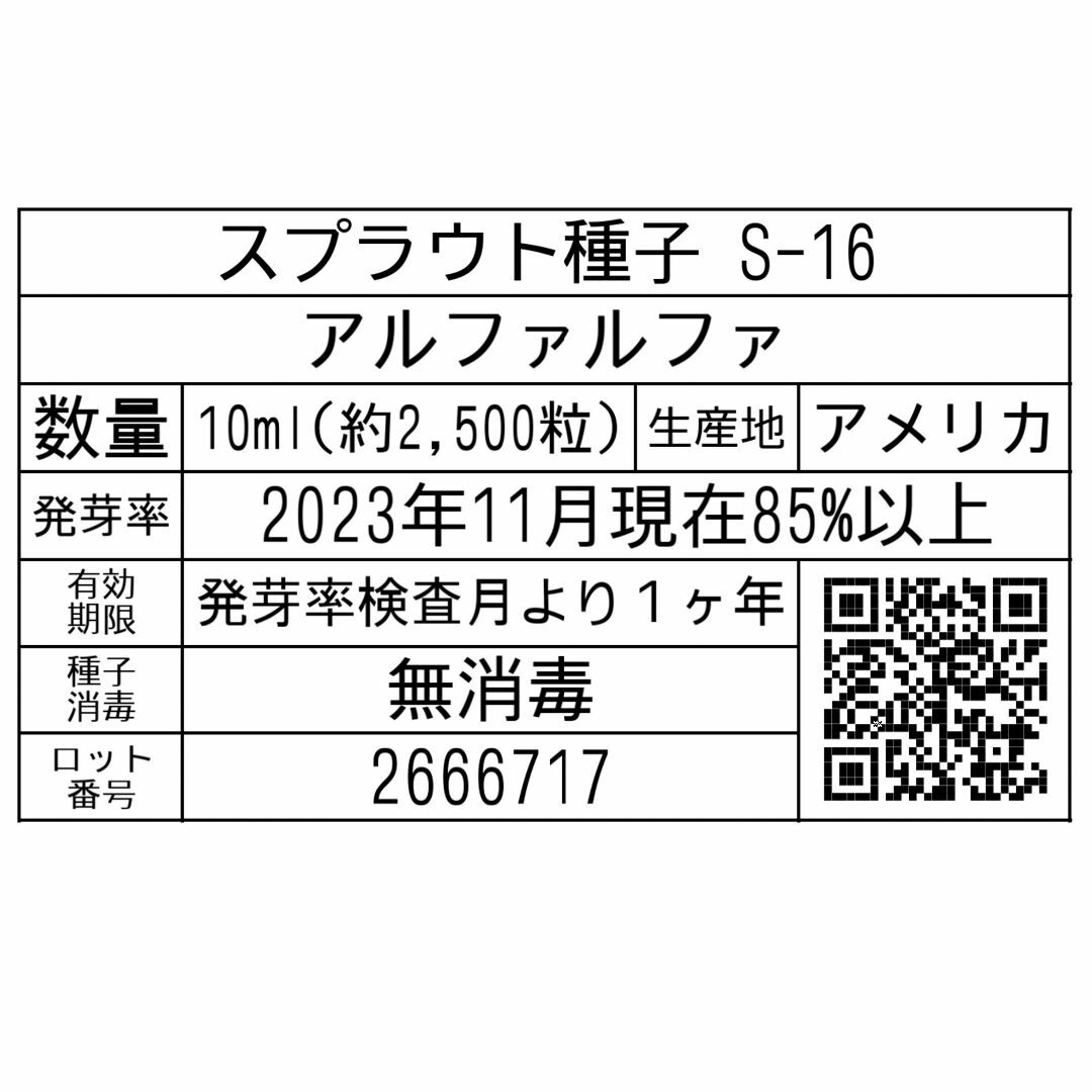 スプラウト種子 S-16 アルファルファ 10ml 約2,500粒 x 2袋 食品/飲料/酒の食品(野菜)の商品写真