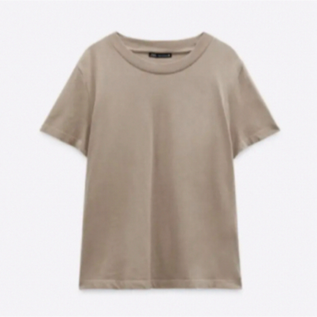 ZARA(ザラ)の新品　ZARA  Tシャツ　ベージュ レディースのトップス(Tシャツ(半袖/袖なし))の商品写真