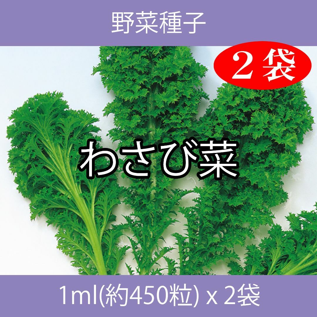 野菜種子 EAC わさび菜 1ml(約450粒) x 2袋 食品/飲料/酒の食品(野菜)の商品写真