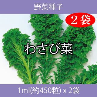 野菜種子 EAC わさび菜 1ml(約450粒) x 2袋(野菜)