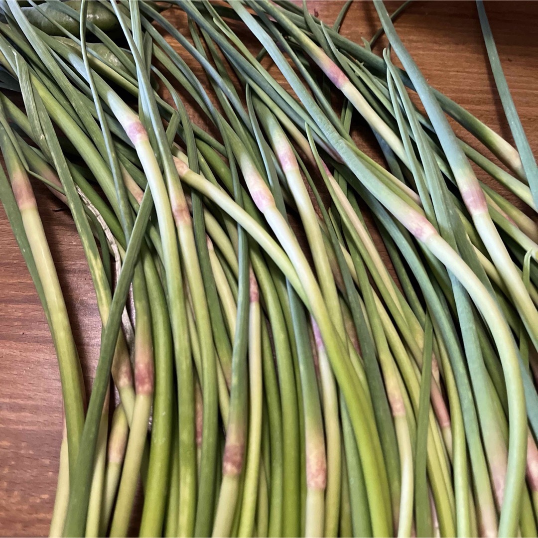 くまつこ様専用　にんにくの芽 食品/飲料/酒の食品(野菜)の商品写真