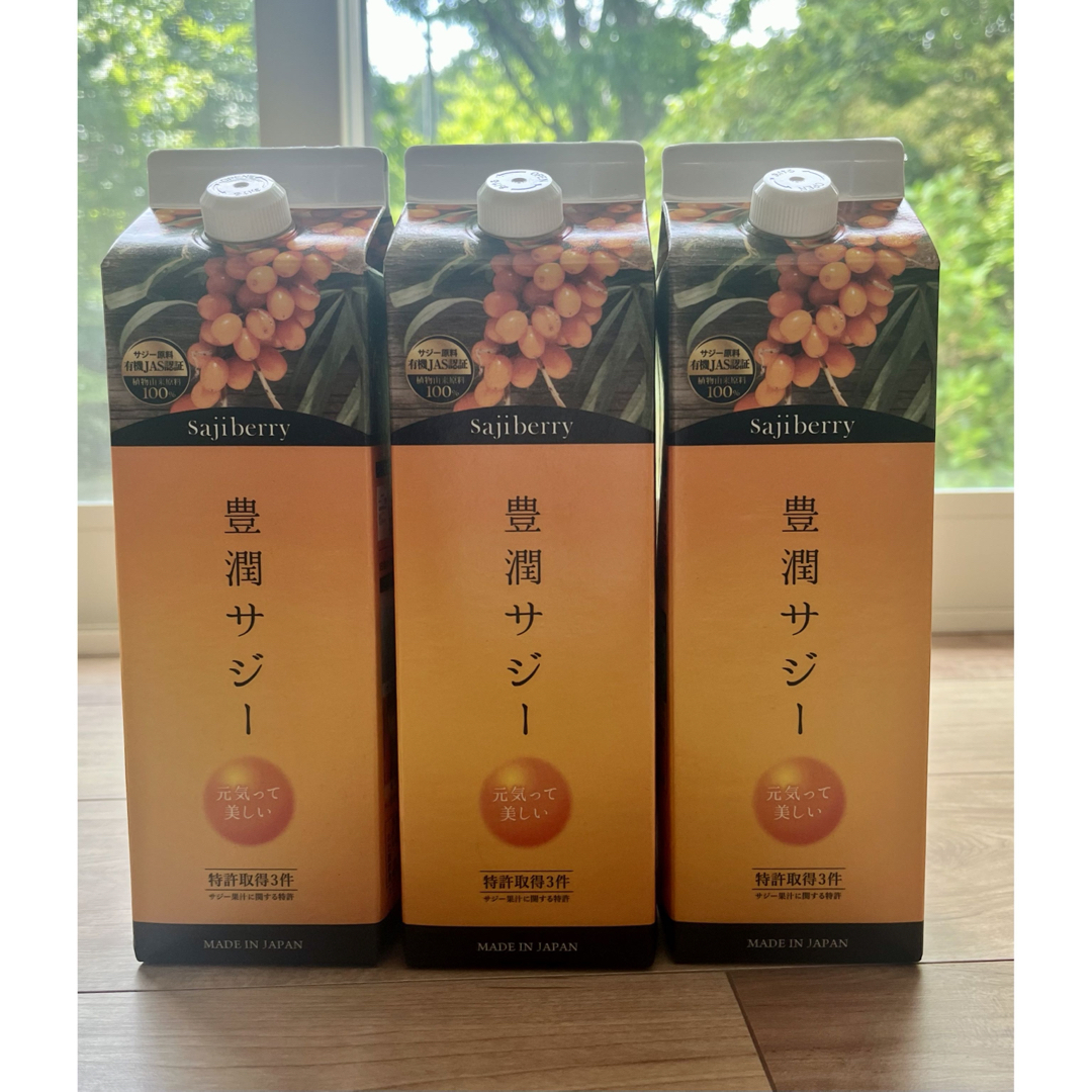 Finess(フィネス)のフィネス 豊潤サジー 1000ml 3本セット 食品/飲料/酒の健康食品(その他)の商品写真