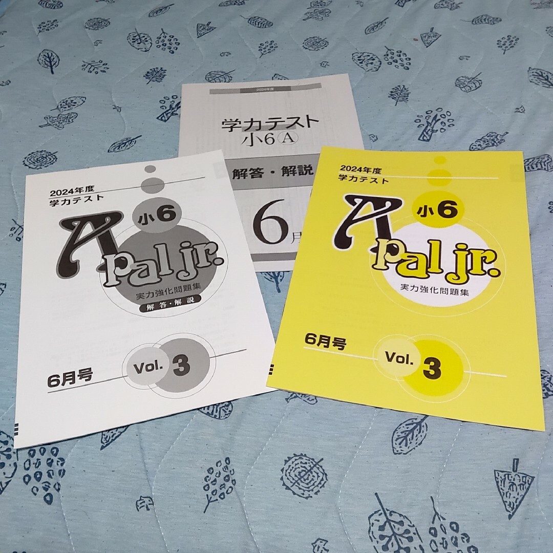 ゆずれんさま専用　育伸社　２０２４年度６月　小学６年生Ａ学力テスト　国算理社英 エンタメ/ホビーの本(語学/参考書)の商品写真