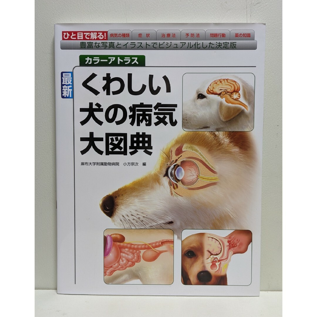 最新くわしい犬の病気大図典 エンタメ/ホビーの本(科学/技術)の商品写真