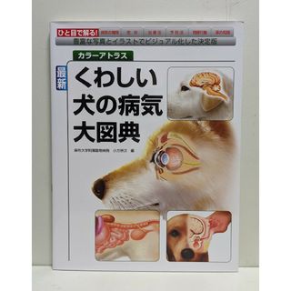 最新くわしい犬の病気大図典(科学/技術)