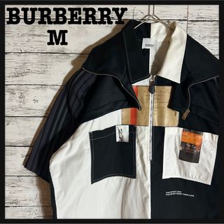 BURBERRY - 【即完売モデル】バーバリー☆マルチカラー☆入手困難☆XL相当　総柄