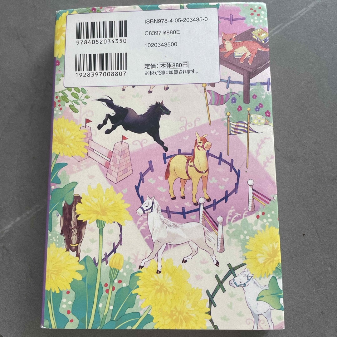 動物と話せる少女リリア－ネ エンタメ/ホビーの本(絵本/児童書)の商品写真
