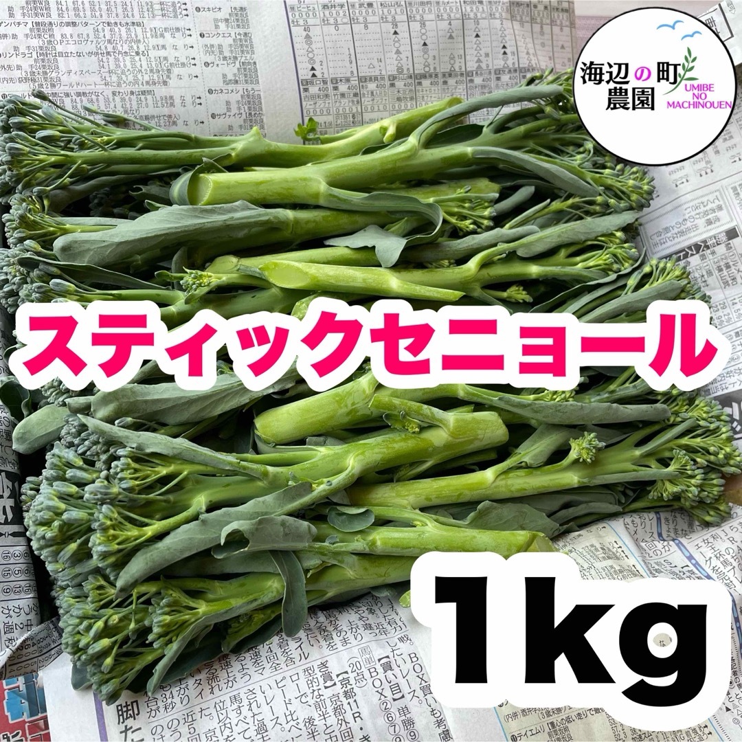 高知県産　茎ブロッコリー　スティックセニョール　野菜　農家直送！ Mps 食品/飲料/酒の食品(野菜)の商品写真