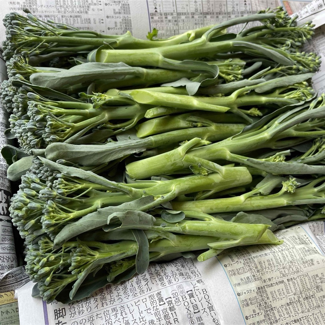 高知県産　茎ブロッコリー　スティックセニョール　野菜　農家直送！ Mps 食品/飲料/酒の食品(野菜)の商品写真