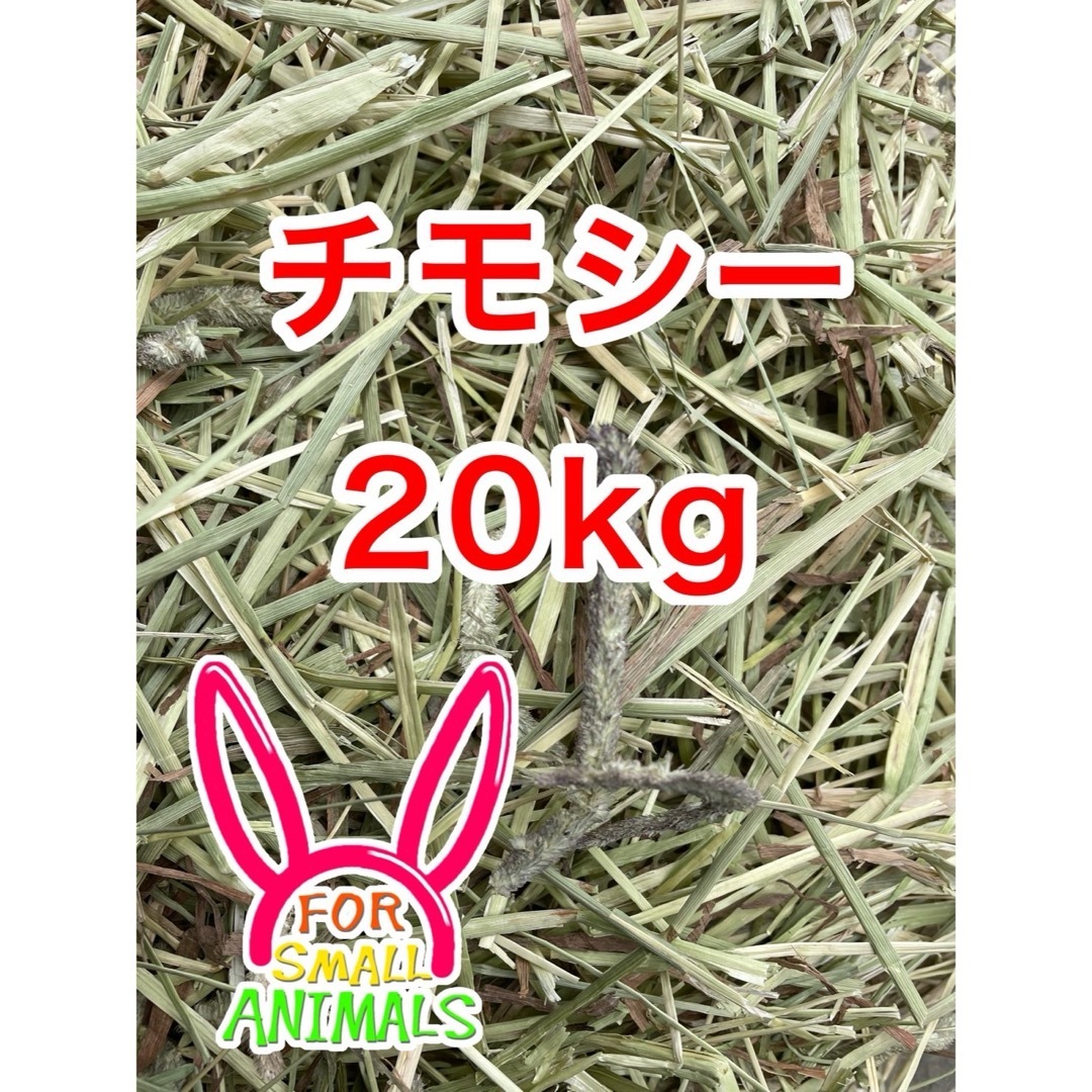 カナダ産　チモシー　20kg その他のペット用品(ペットフード)の商品写真