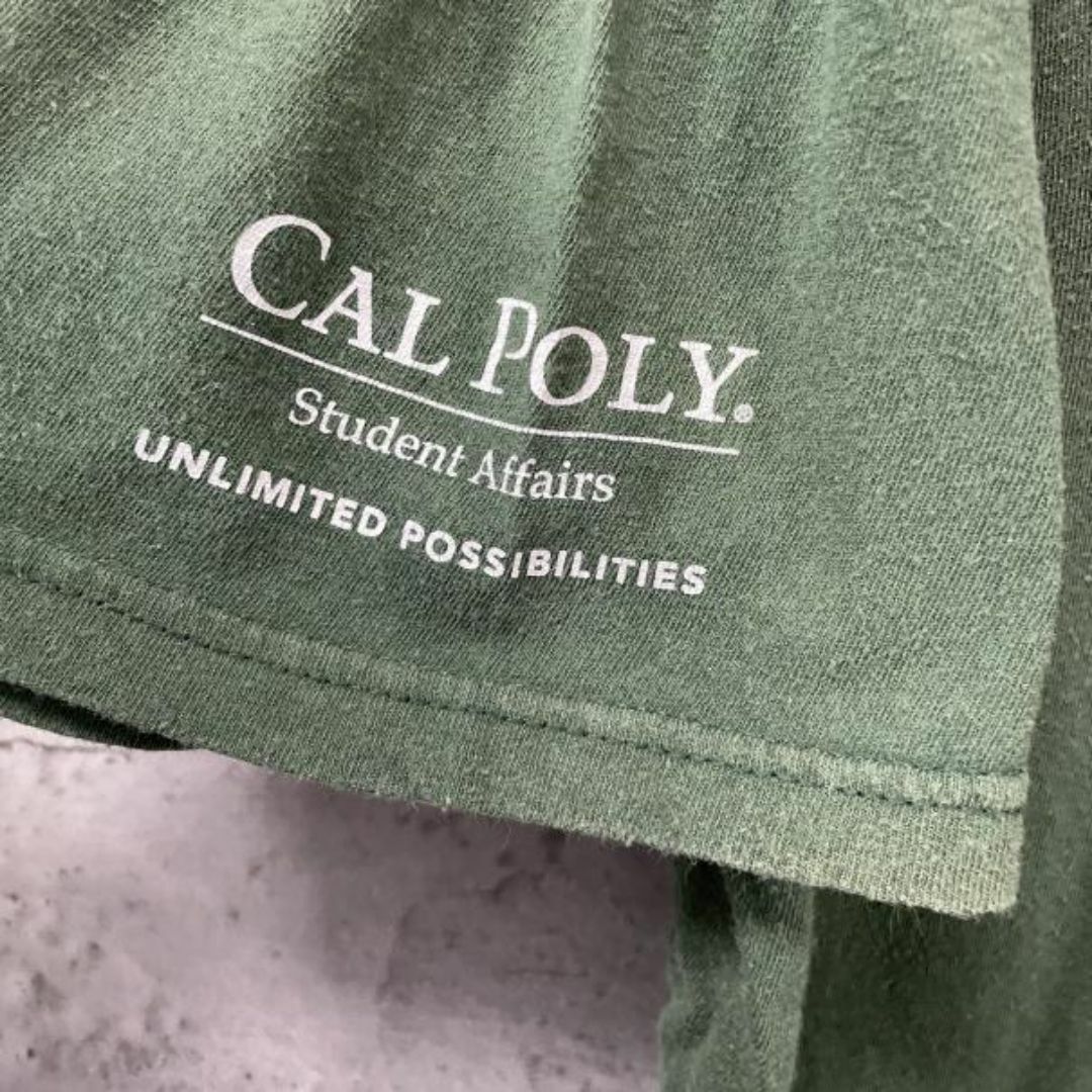 Cal Poly ウマ 馬 USA輸入 アースカラー カレッジ Tシャツ メンズのトップス(Tシャツ/カットソー(半袖/袖なし))の商品写真