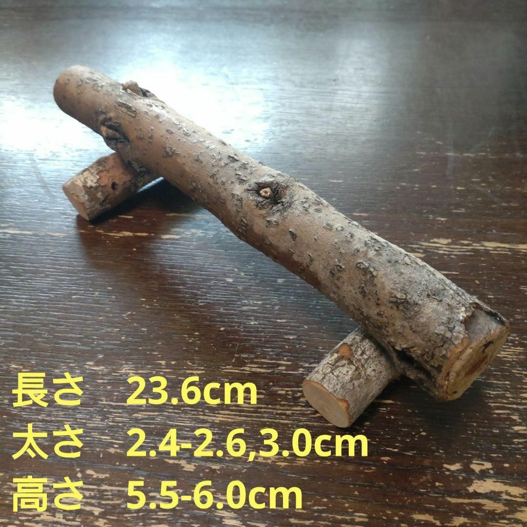 幼鳥、老鳥用の止まり木（枝）(TOY-08-002) 363 その他のペット用品(鳥)の商品写真