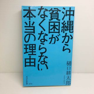 S0413-156　沖縄から貧困がなくならない本当の理由(文学/小説)