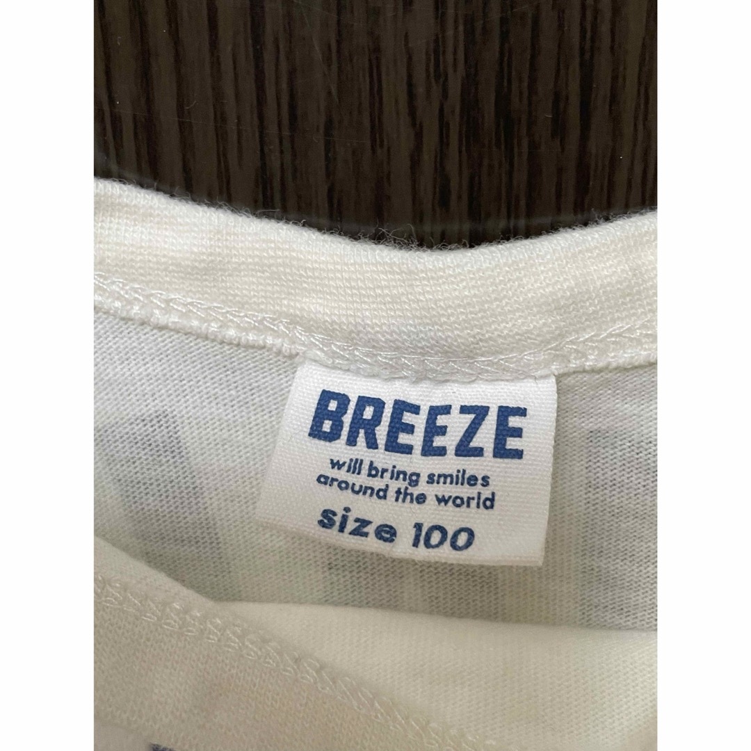 BREEZE(ブリーズ)のブリーズ　半袖Tシャツ 100㎝ キッズ/ベビー/マタニティのキッズ服男の子用(90cm~)(Tシャツ/カットソー)の商品写真