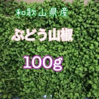 和歌山県有田産　ぶどう山椒　100g(その他)