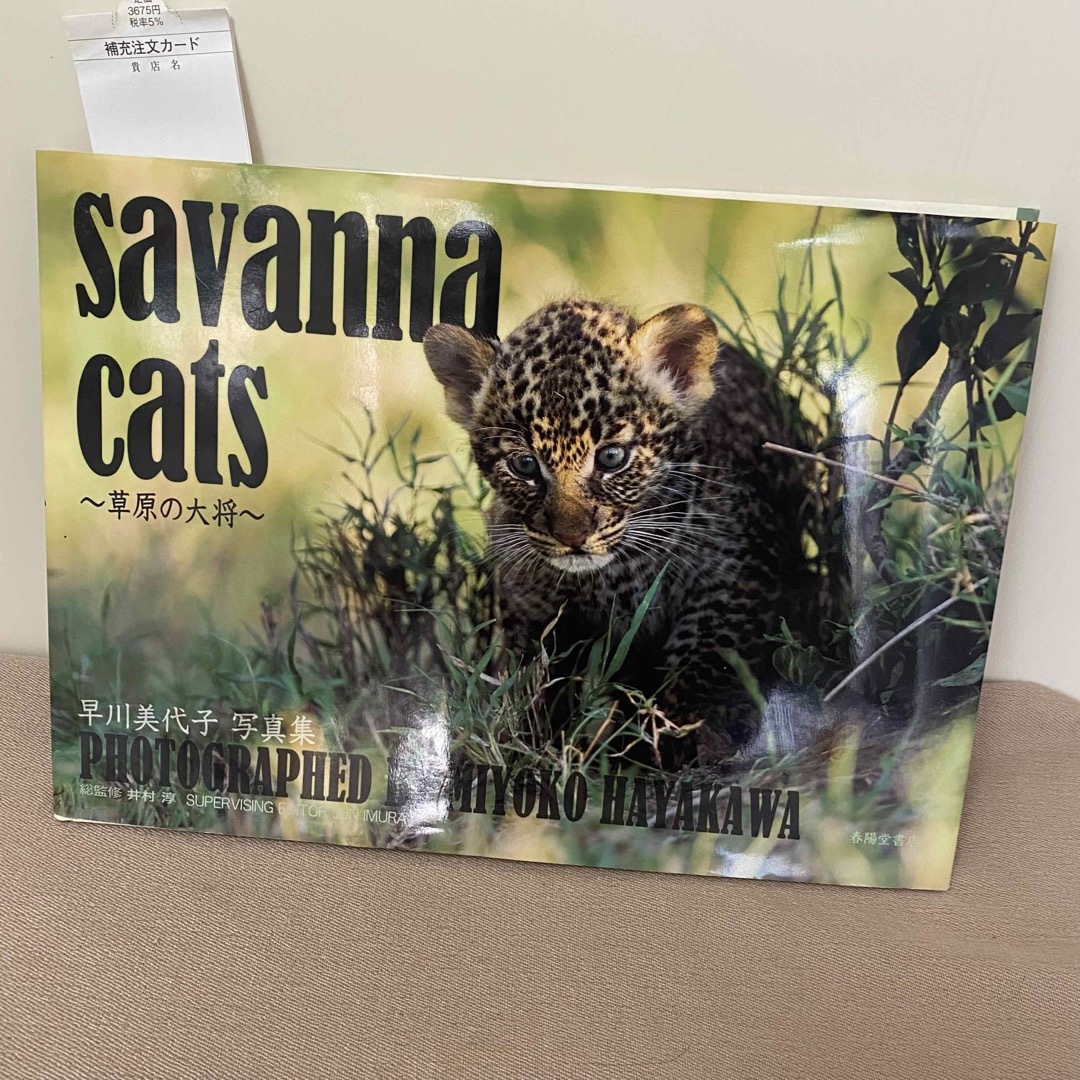 早川美代子写真集「savanna cats」サバンナキャッツ 新品 定3675円 エンタメ/ホビーの本(その他)の商品写真