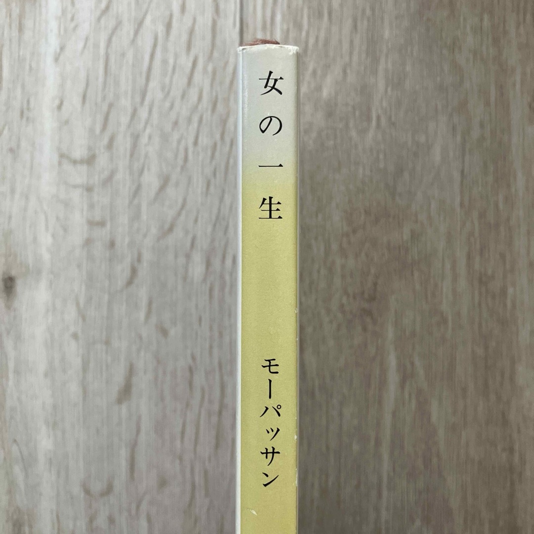 女の一生 エンタメ/ホビーの本(その他)の商品写真