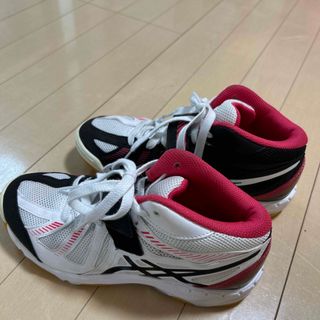 asics - 美品 バレーボールシューズ アシックス 23cm