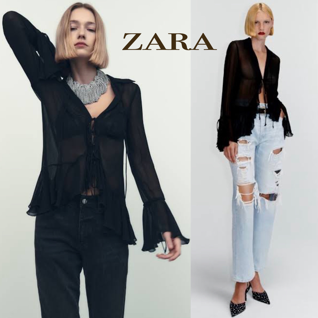 ZARA(ザラ)の【美品 M】ZARA シアーブラウス 長袖シャツ レディースのトップス(シャツ/ブラウス(長袖/七分))の商品写真