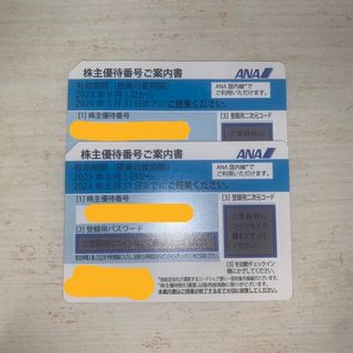 ANA株主優待券 2枚(2024/5/31まで)(航空券)