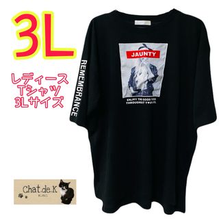 大きいサイズ レディース Tシャツ 3L(Tシャツ(半袖/袖なし))