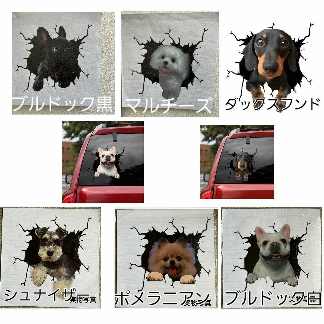 犬 ステッカー 　3Dステッカー　車　犬　面白い 　3Dシール　マルチーズ その他のペット用品(犬)の商品写真