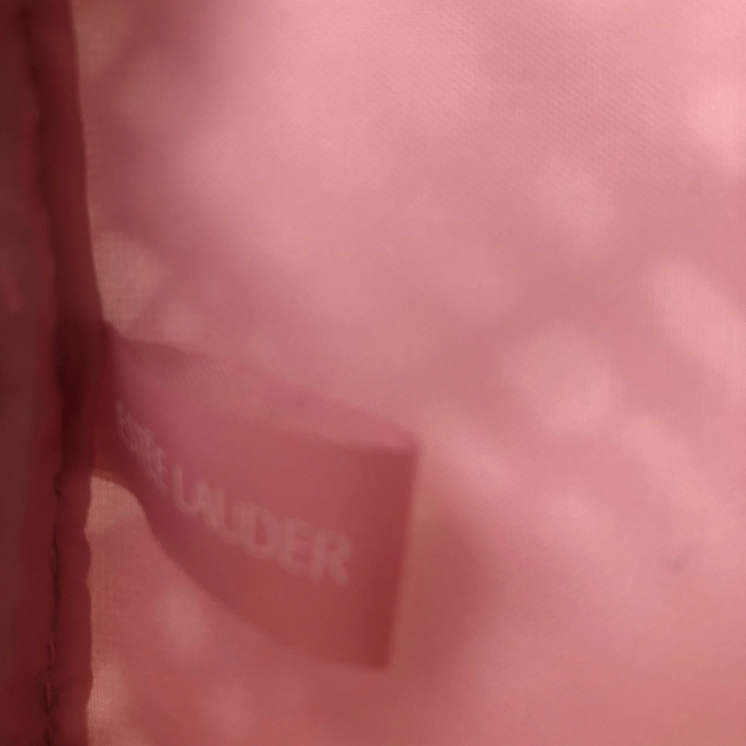 Estee Lauder(エスティローダー)のエスティローダー　ポーチ　 レディースのファッション小物(ポーチ)の商品写真