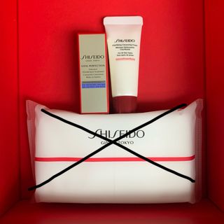 シセイドウ(SHISEIDO (資生堂))の資生堂2点セット　美白クリーム　洗顔フォーム(フェイスクリーム)