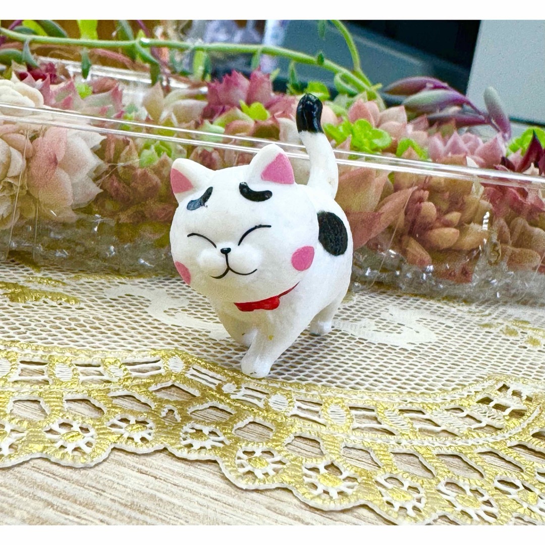 カラフル＆モリモリ★多肉植物・寄せ植えセット♪⑫ ハンドメイドのフラワー/ガーデン(その他)の商品写真