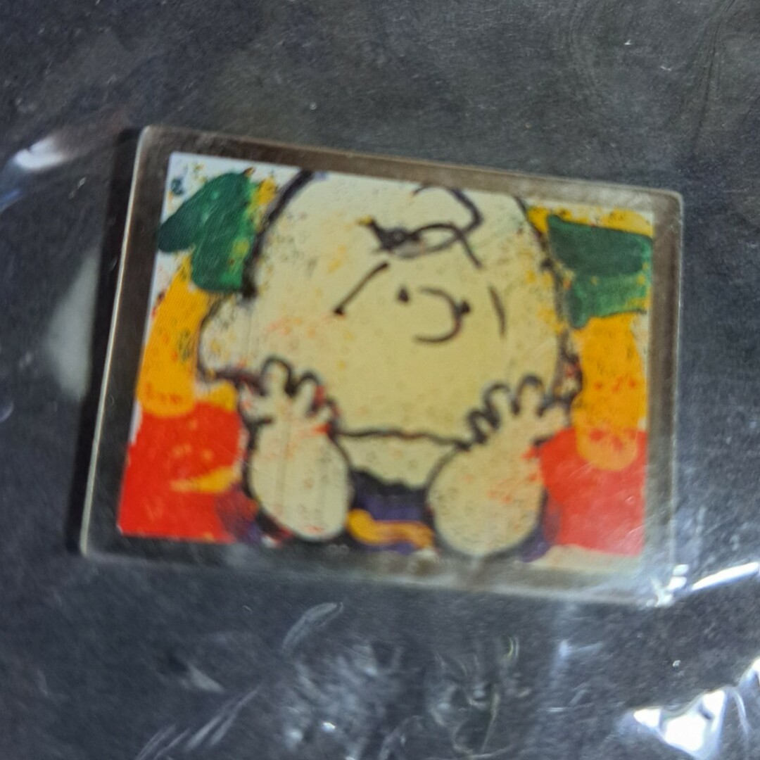 PEANUTS(ピーナッツ)のTOM EVERHART トムエバハート　ピンバッジ エンタメ/ホビーのアニメグッズ(バッジ/ピンバッジ)の商品写真