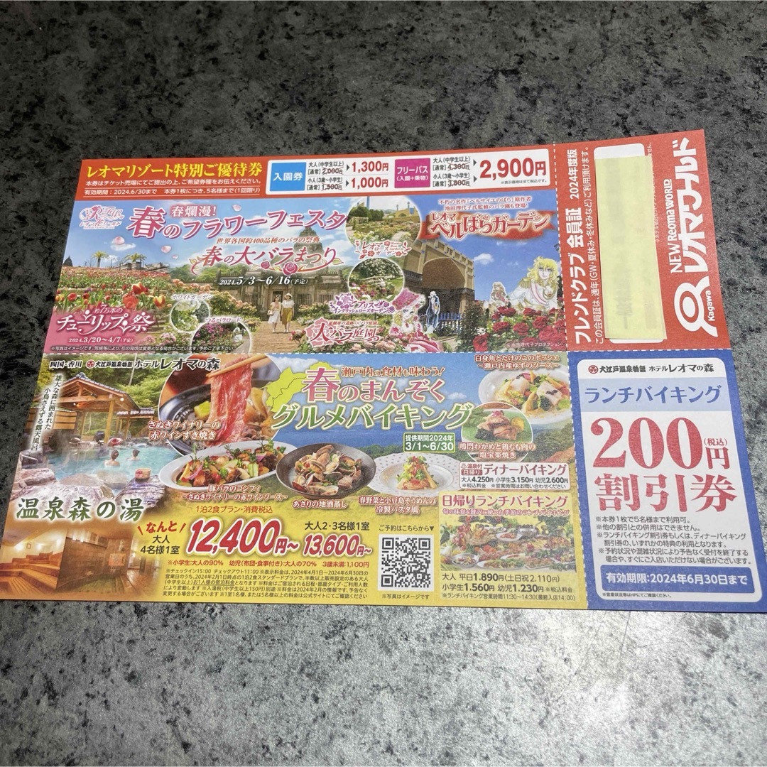 レオマワールドフリーパス チケットの施設利用券(遊園地/テーマパーク)の商品写真