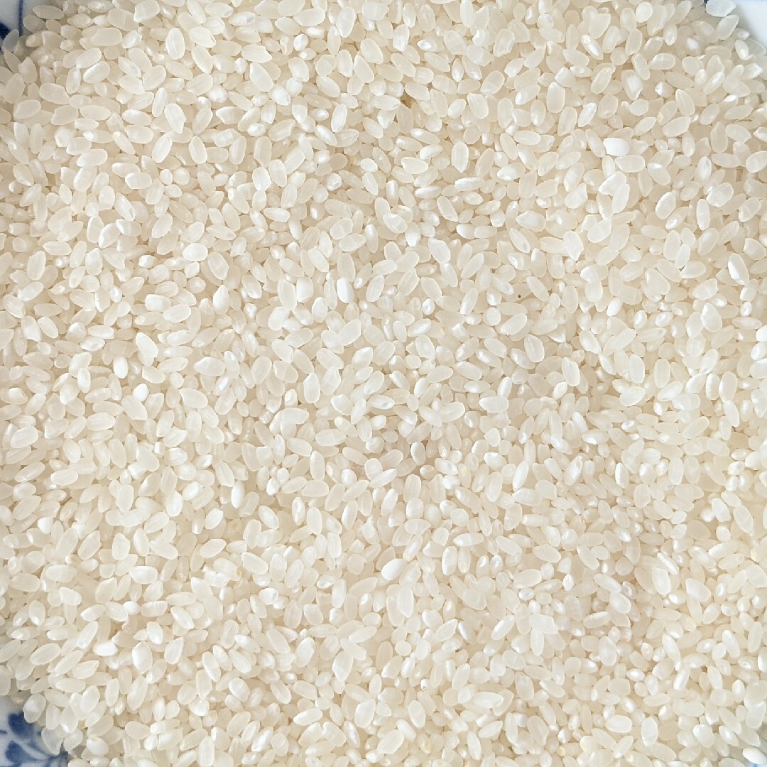 生活応援米　無洗米10kg 食品/飲料/酒の食品(米/穀物)の商品写真