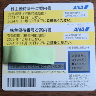 エーエヌエー(ゼンニッポンクウユ)(ANA(全日本空輸))のANA 株主優待券(その他)