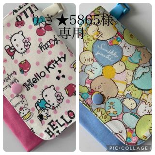 りさ★5865様専用　No.139 ハローキティ　No.230 すみっこぐらし(外出用品)