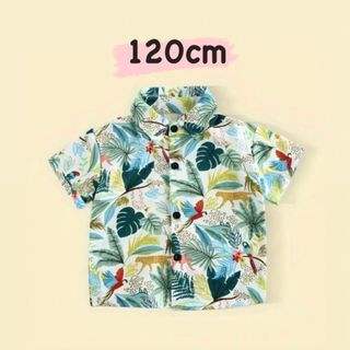 【ホワイト・120cm】キッズ ボーイズ 男の子 トロピカル シャツ(Tシャツ/カットソー)