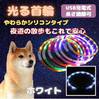 光る 首輪 ホワイト LEDライト USB充電 犬 ドッグ シリコン 夜 散歩(犬)