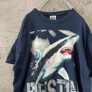 DESTIN FLORIDA サメ プリント アニマル インパクト Tシャツ(Tシャツ/カットソー(半袖/袖なし))