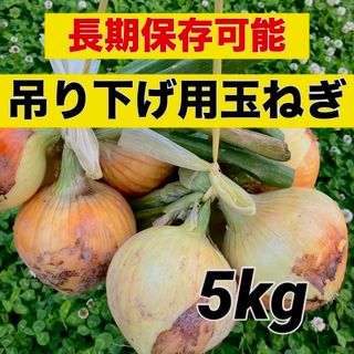 今年も販売‼️吊るして保存‼️玉ねぎ5キロ入‼️(野菜)