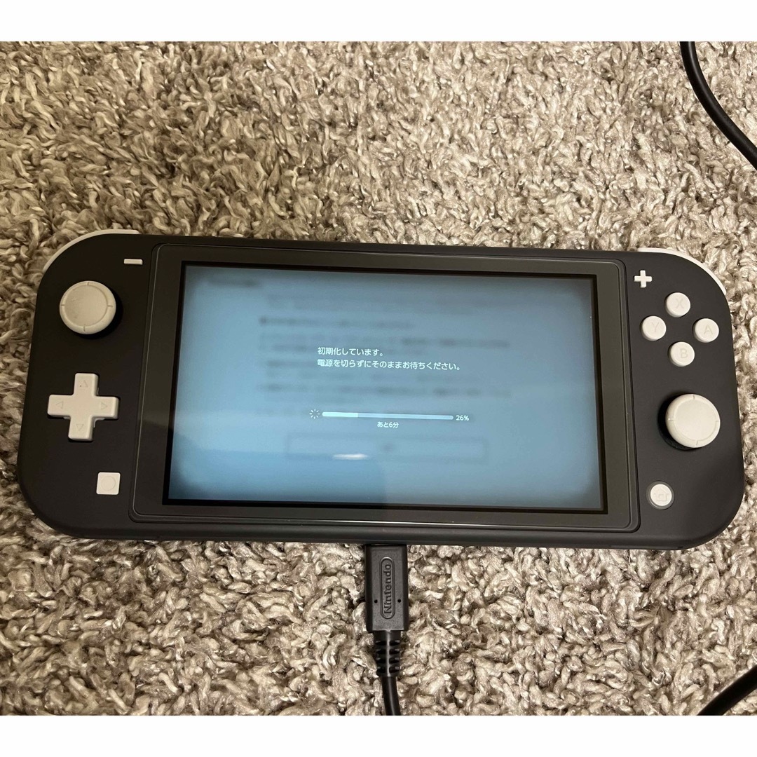Nintendo Switch(ニンテンドースイッチ)のNintendo Switch Lite グレー エンタメ/ホビーのゲームソフト/ゲーム機本体(家庭用ゲームソフト)の商品写真