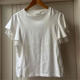 袖シフォン　Tシャツカットソー(Tシャツ(半袖/袖なし))